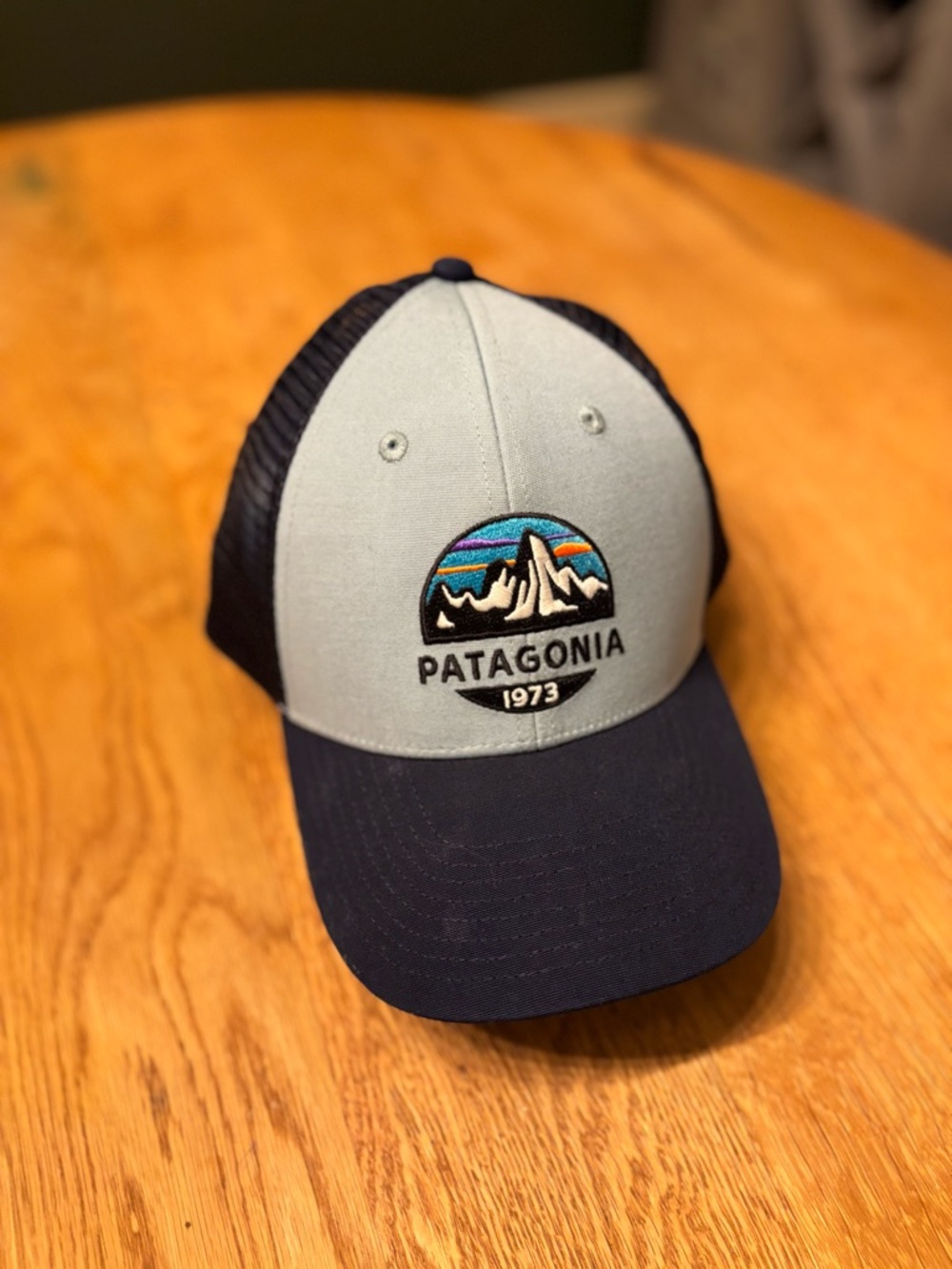 Patagonia Mesh Logo Cap